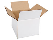 white_duplex-carton-am-accessories